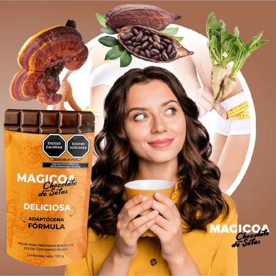 Magicoa bebida de cacao con hongos medicinales — análisis completo de ingredientes