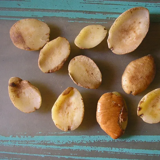 Mango africano, Irvingia gabonensis, activo declarado de Esbelita